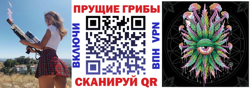 закладки  hydra вход  Псилоцибиновые грибы Psilocybe  Камень-на-Оби 