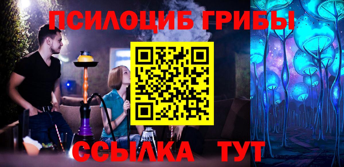 Псилоцибиновые грибы MAGIC MUSHROOMS  Псилоцибиновые грибы ЛСД  Вход с VPN  Камень-на-Оби 